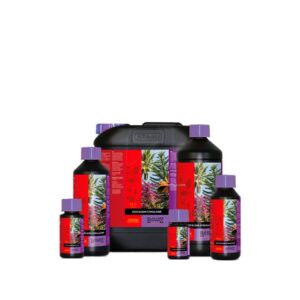 B'CUZZ COCO BLOOM STIMULATOR 1L