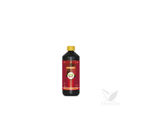 Flavor 1 l ata nrg