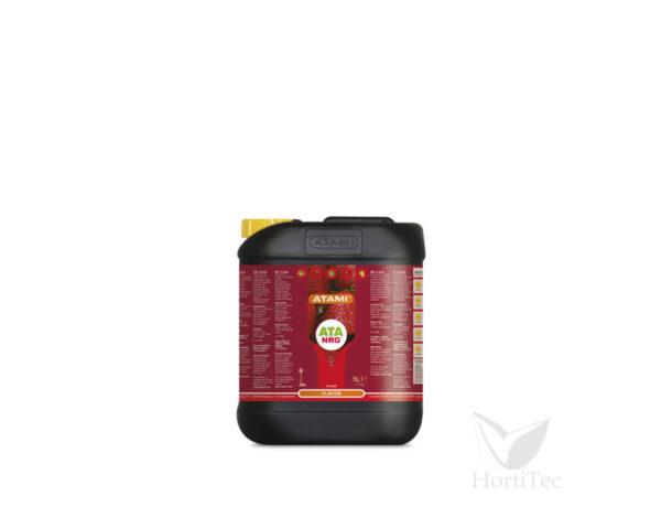 Flavor 1 l ata nrg