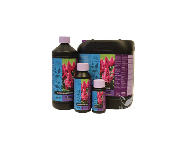 721087-blossom-builder-bcuzz.jpg Blossom builder 100 ml b´cuzz