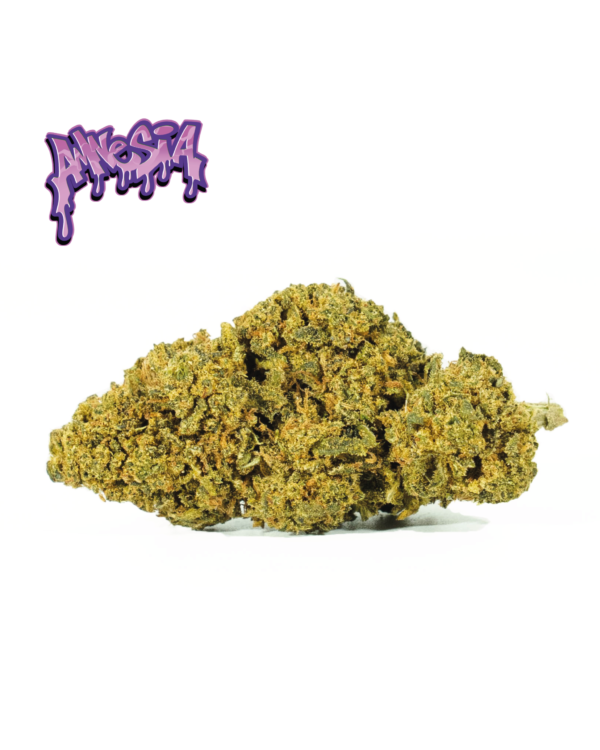 amnesia og cbd