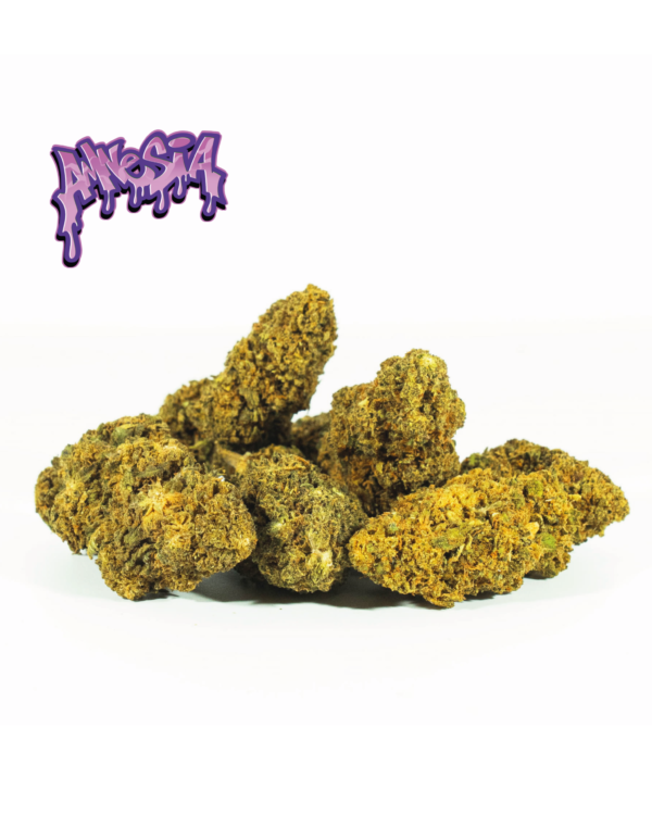 amnesia og cbd
