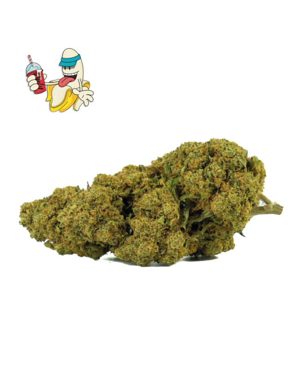 BANANALOGO_1.png BANANA SMASH CBD