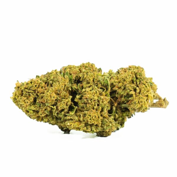 GELATO-33-CBD.jpg GELATO 33 CBD