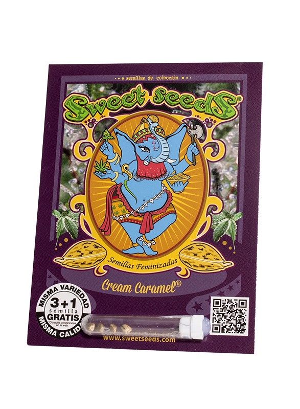Cream Caramel®(3+1 Gratis) Sweet Seeds