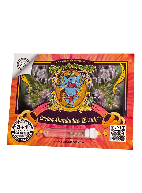 cream-mandarine-xl-auto.jpg Cream Mandarine xl auto (3+1 Gratis) Sweet seeds