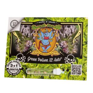 Green poison xl auto (3+1 Gratis ) 100% Sweet seeds