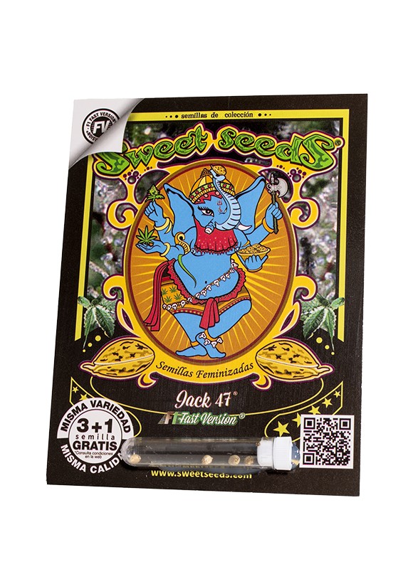 jack-47-f1-fast-version.jpg Jack 47 f1 fast version (3+1Gratis) 100% sweet seeds