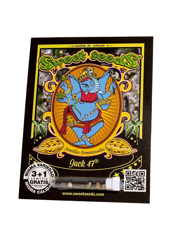 jack-47.jpg Jack 47 (3+1Gratis) 100% sweet seeds
