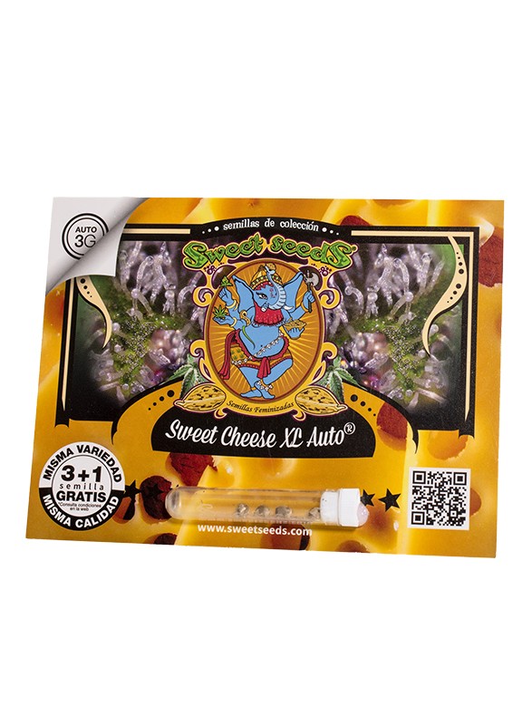 sweet-cheese-xl-auto-4.jpg Sweet Cheese XL Auto® (3+1 Gratis) Sweet seeds