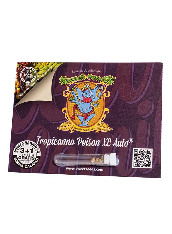 tropicanna-poison-xl-auto-3.jpg Tropicanna Poison XL Auto®(3+1 Gratis) Sweet seeds