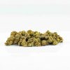 BRAIND2 MINI BRAINS CBD