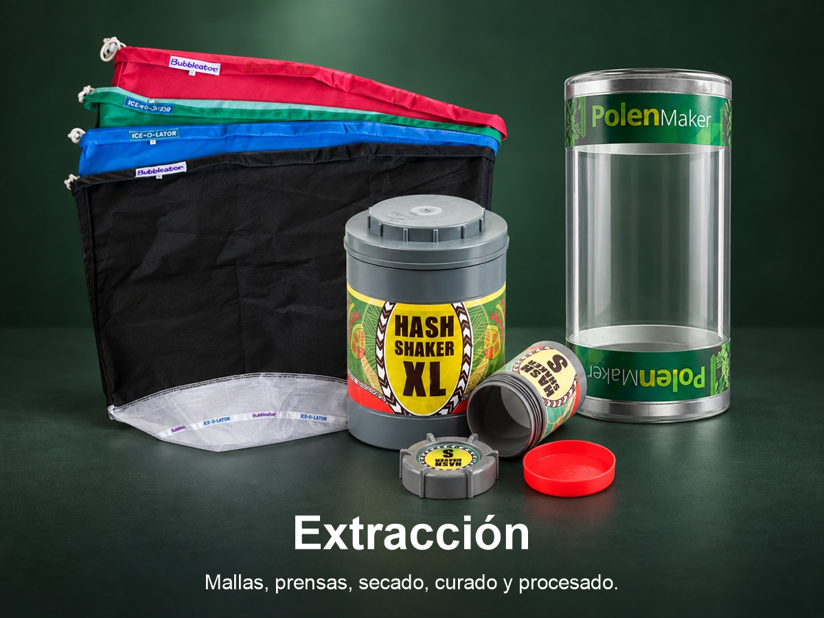 Extracción